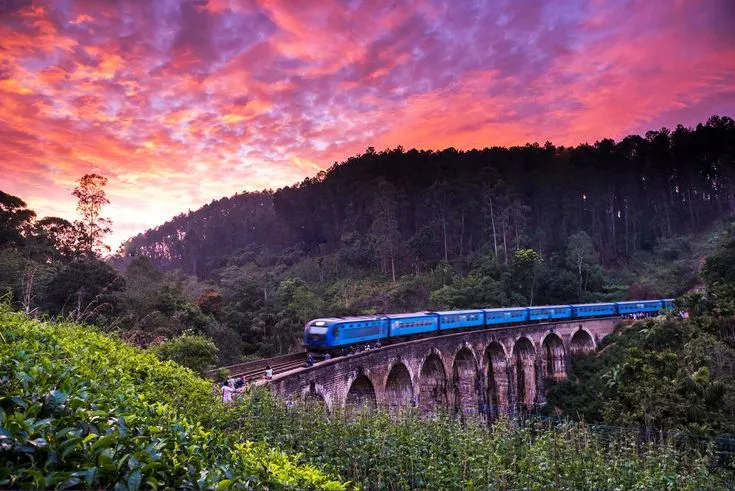 Sri Lanka Tour from Chennai